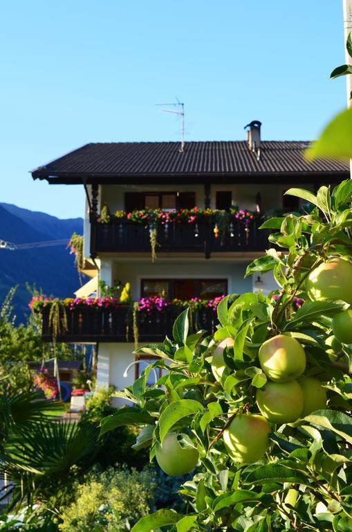 Zimmervermietung Groeberhof Скена Экстерьер фото